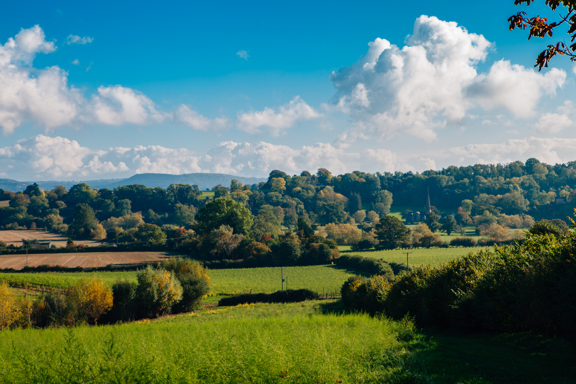 Our Herefordshire home 